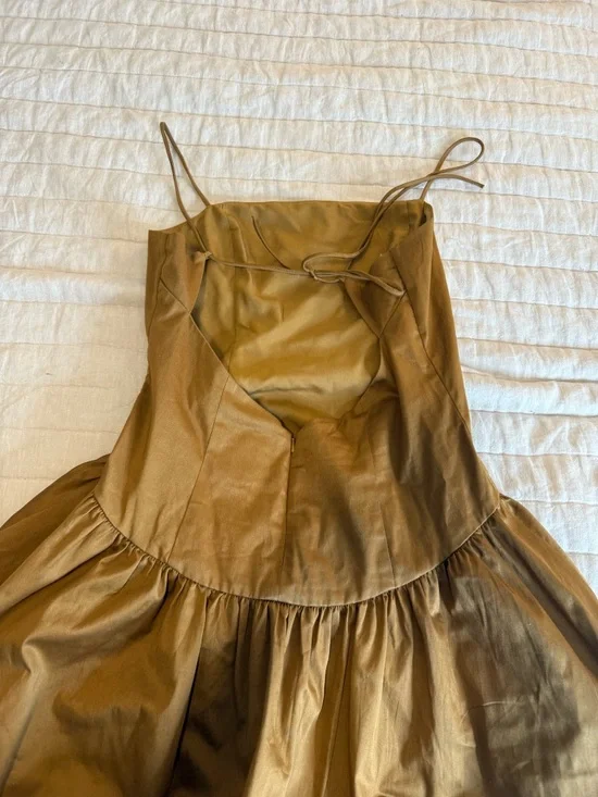 Brown Ruffled Hem Mini Dress - Picture 5 of 5